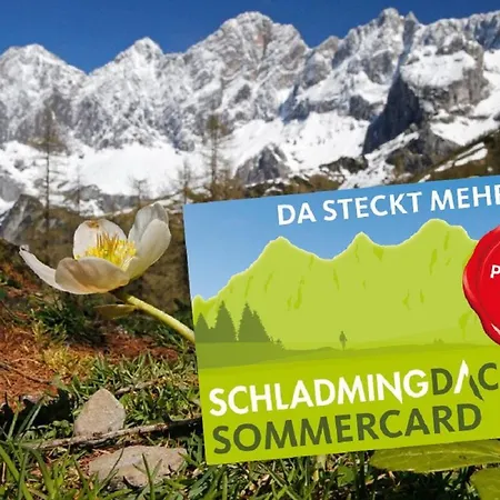 Appartement - Planai View *